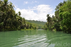 Loboc River Tour & Tarsier Affen