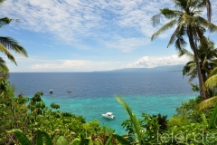 Bohol - Inselrundfahrt