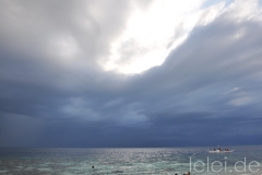 Orchid Farm & Kawasan Watterfalls